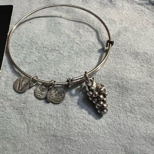 Alex and Ani grapes Silver Charm Bracelet adjustable Bangle
